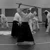 小牛VPN